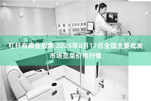 杠杆有哪些股票 2025年8月17日全国主要批发市场苋菜价格行情