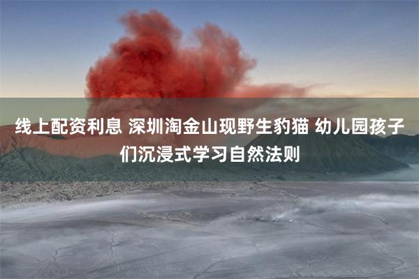 线上配资利息 深圳淘金山现野生豹猫 幼儿园孩子们沉浸式学习自然法则